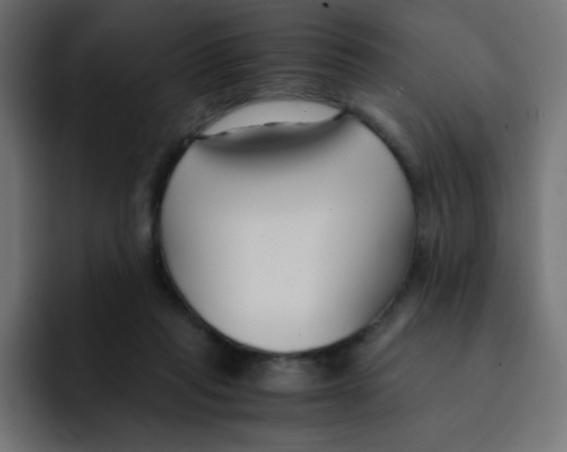 X0000092020261200710041049