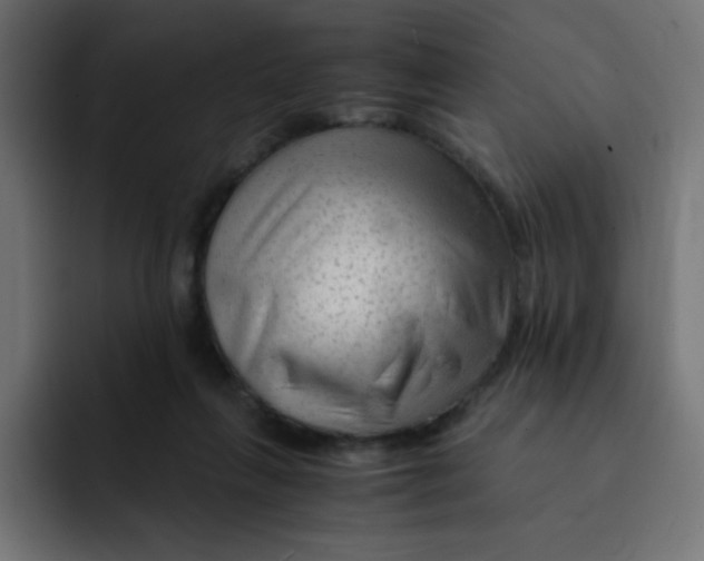 X0000092020263200710041049