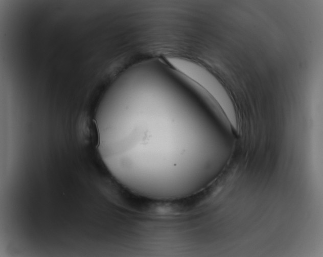 X0000092020264200710041049