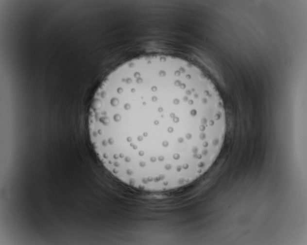 X0000092020265200710041049