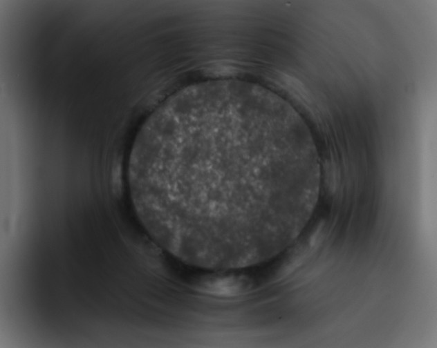 X0000092020267200710041049