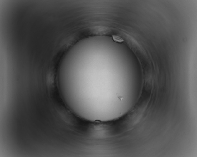 X0000092020268200710041049