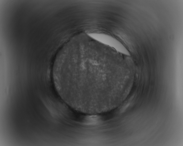 X0000092020269200710041049