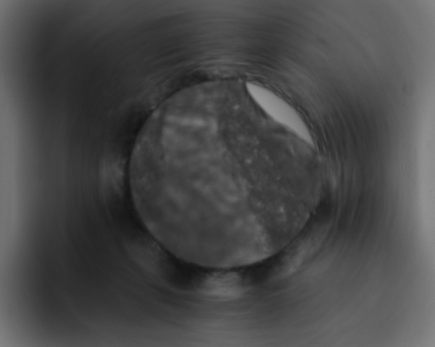 X0000092020271200710041049