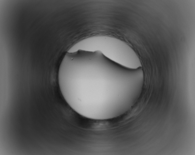 X0000092020274200710041049