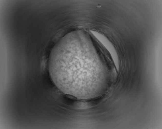 X0000092020276200710041049