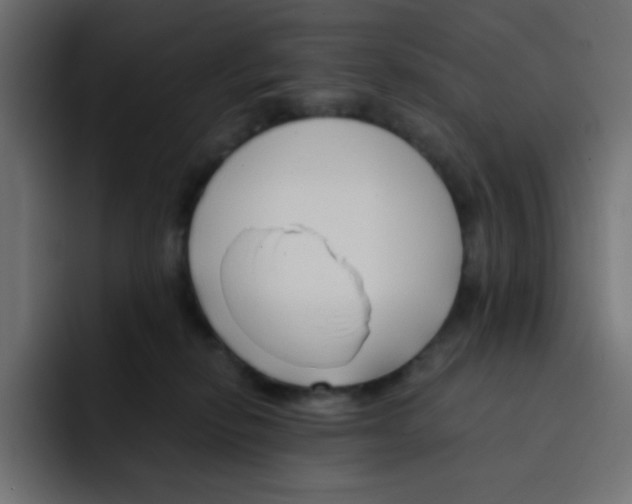 X0000092020278200710041049