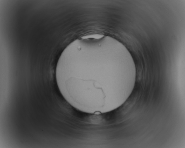 X0000092020279200710041049