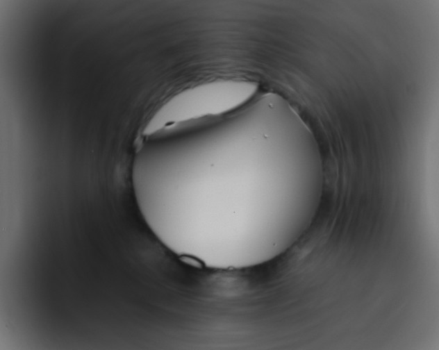 X0000092020280200710041049