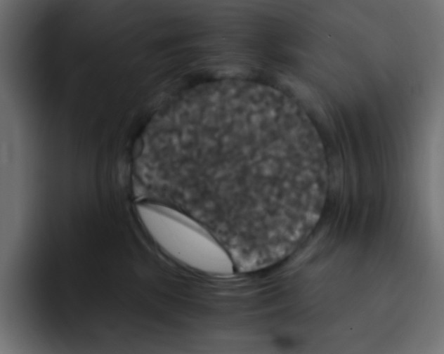 X0000092020281200710041049