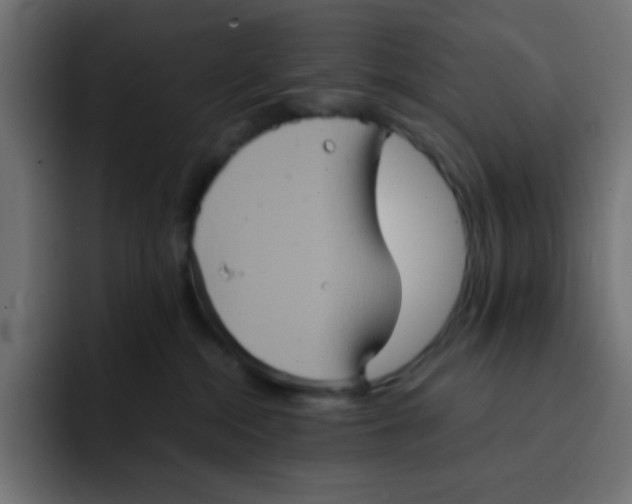 X0000092020284200710041049