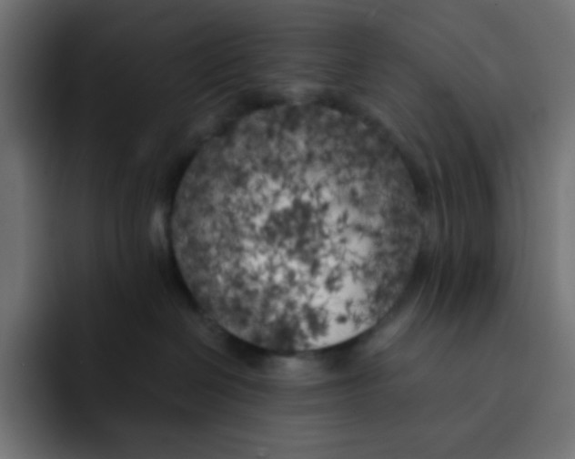 X0000092020286200710041049