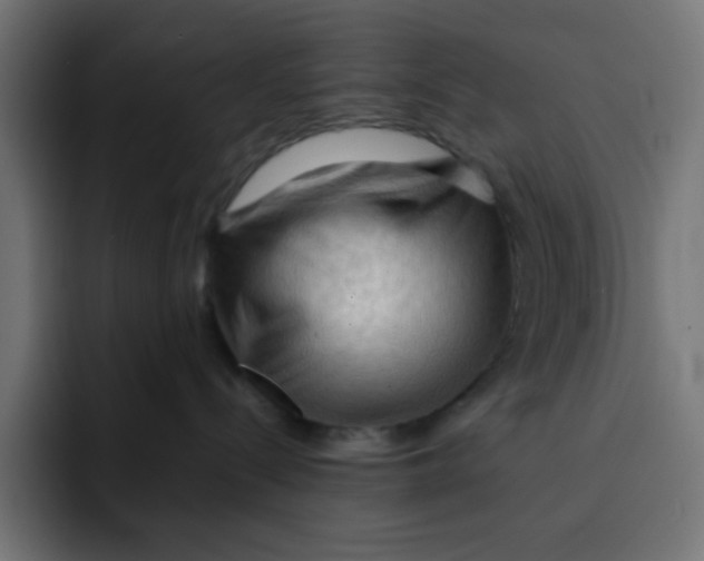 X0000092020288200710041049