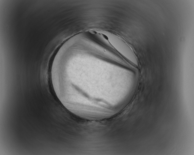 X0000092020290200710041048