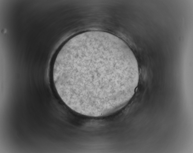 X0000092020292200710041048