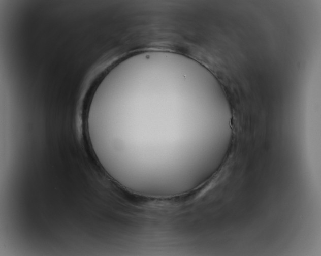 X0000092020294200710041048