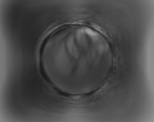 X0000092020295200710041048