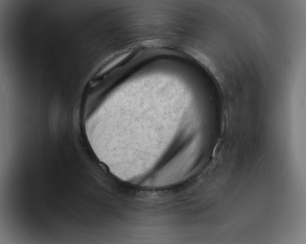 X0000092020297200710041048