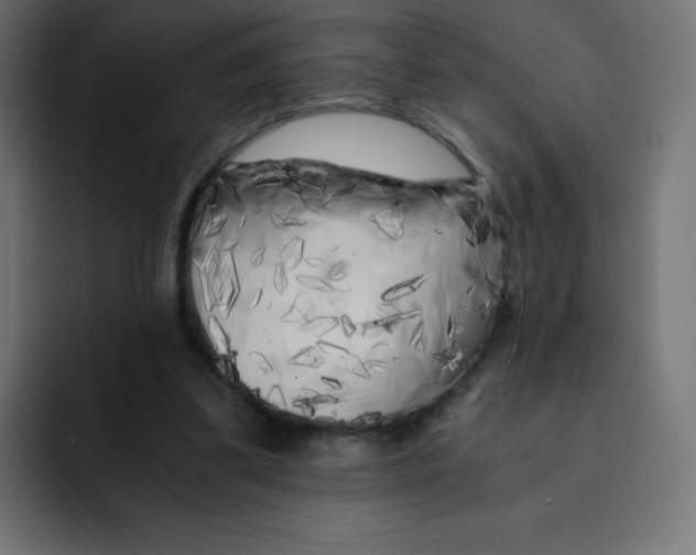 X0000092020299200710041048
