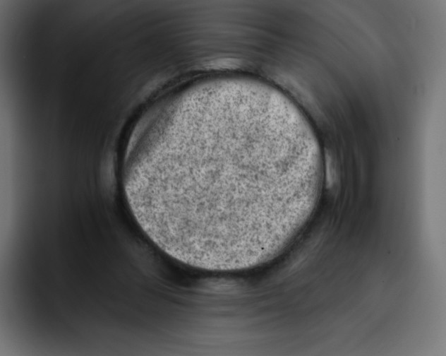 X0000092020300200710041048