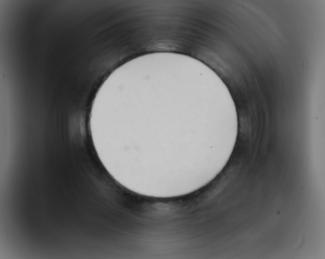 X0000092020302200710041048