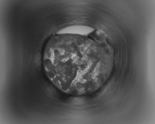 X0000092020303200710041048