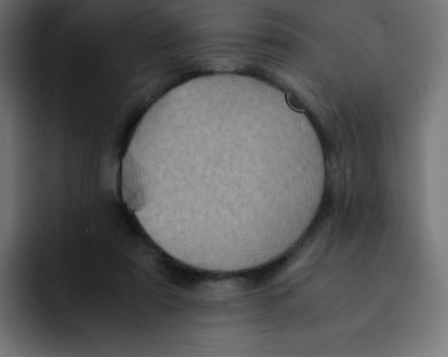 X0000092020307200710041048