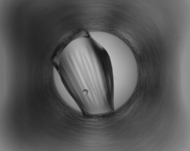 X0000092020308200710041048