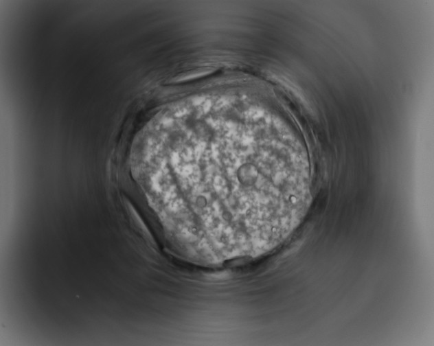 X0000092020309200710041048