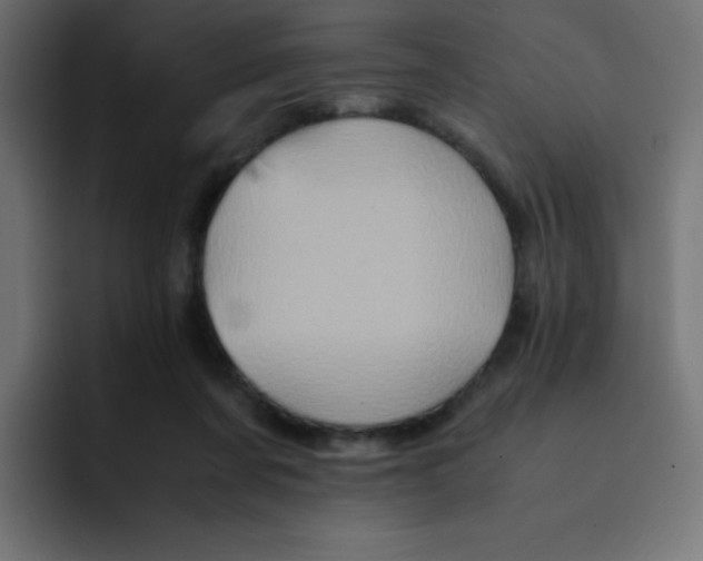 X0000092020311200710041048