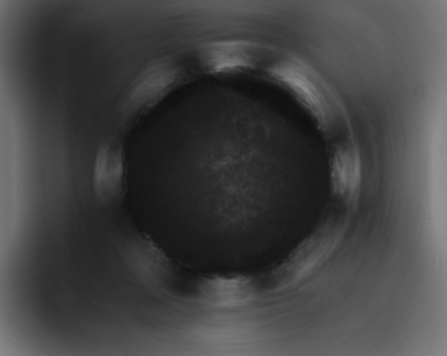 X0000092020314200710041048