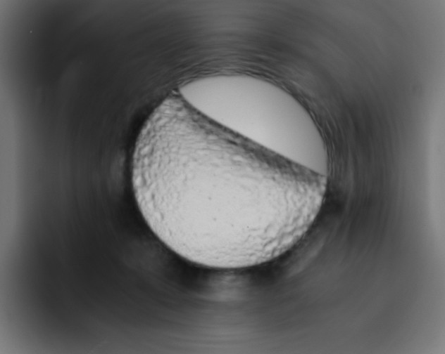 X0000092020319200710041048