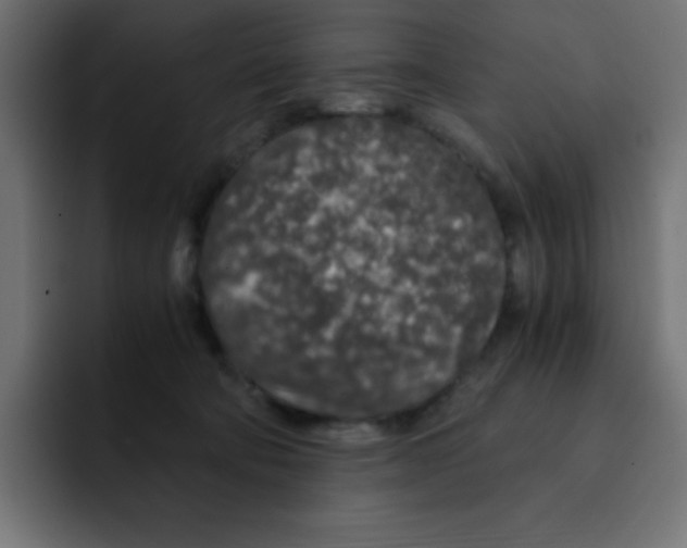 X0000092020322200710041048