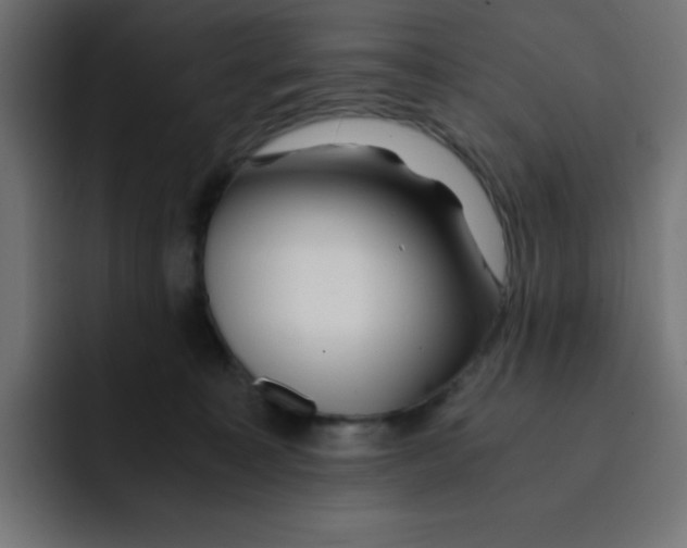 X0000092020323200710041048