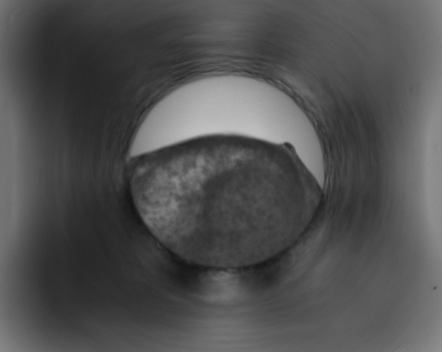 X0000092020325200710041048