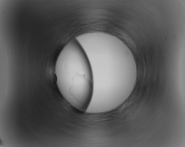 X0000092020329200710041048