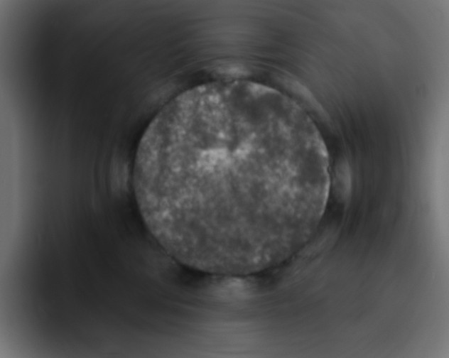 X0000092020330200710041048