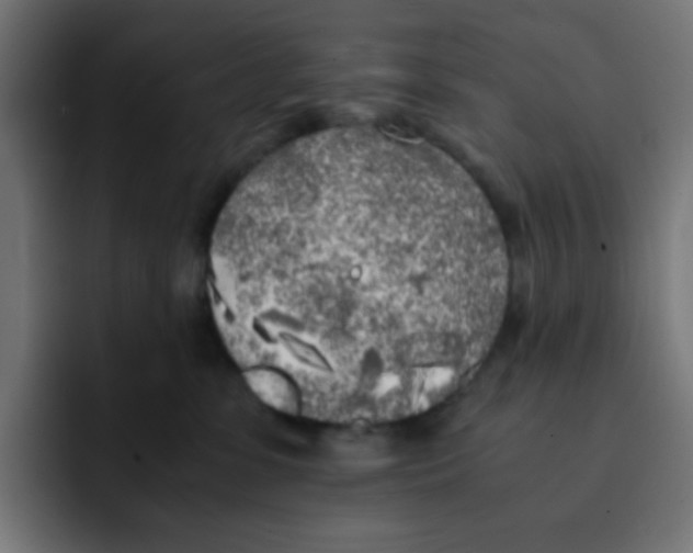 X0000092020331200710041048