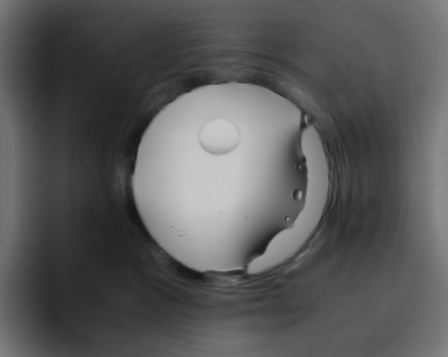 X0000092020333200710041048