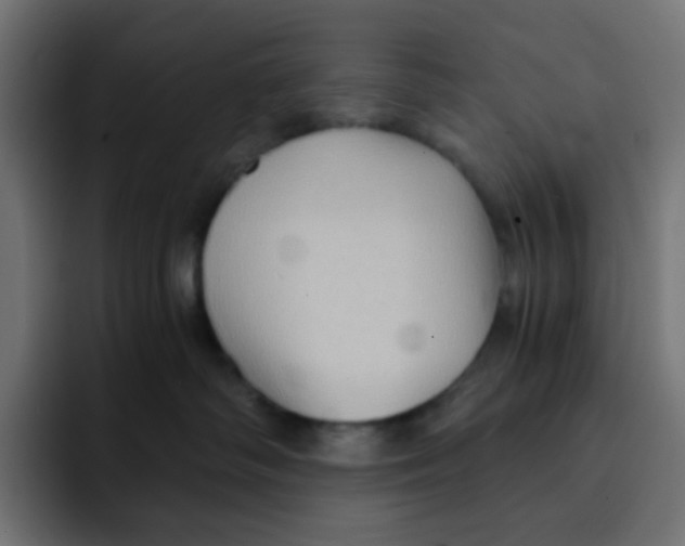 X0000092020334200710041048