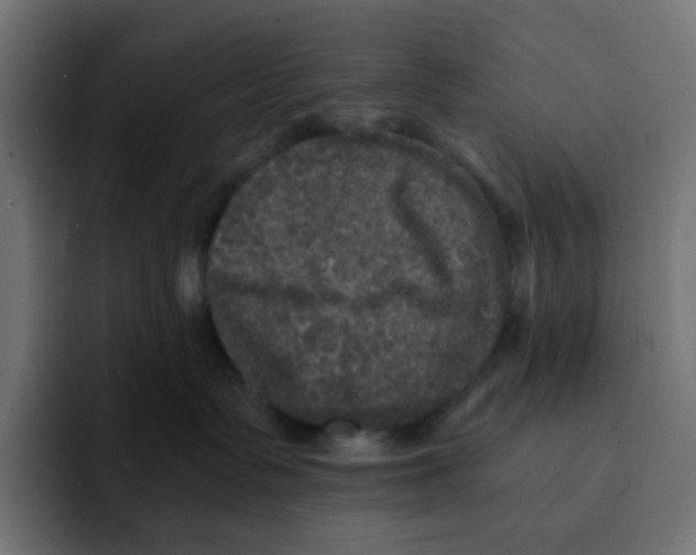 X0000092020335200710041048