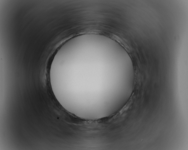 X0000092020338200710041047