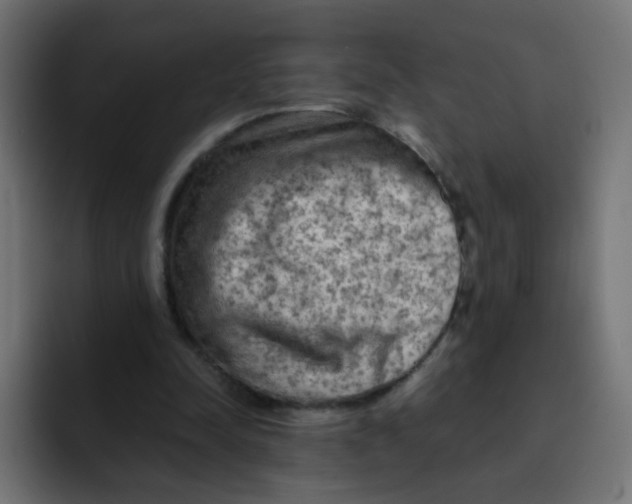 X0000092020342200710041047