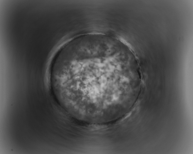 X0000092020343200710041047