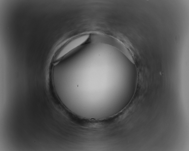 X0000092020344200710041047