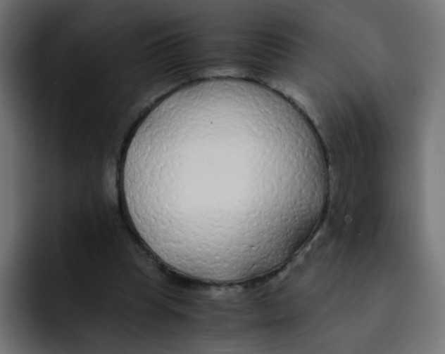 X0000092020345200710041047