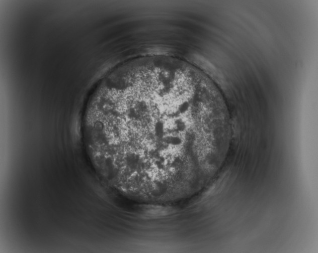 X0000092020347200710041047