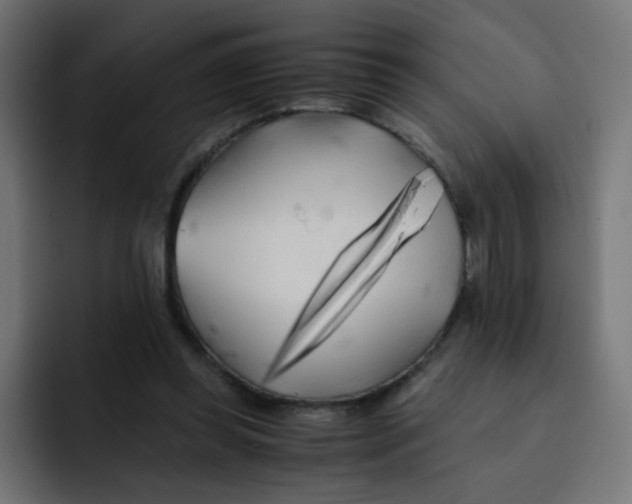 X0000092020349200710041047