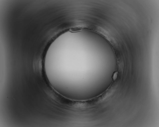 X0000092020350200710041047