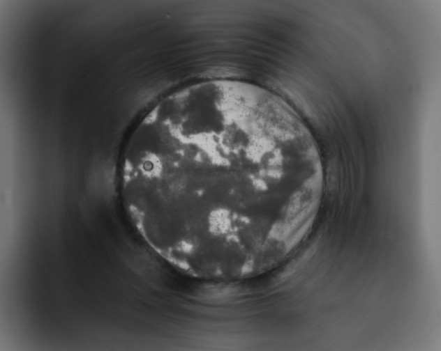 X0000092020351200710041047